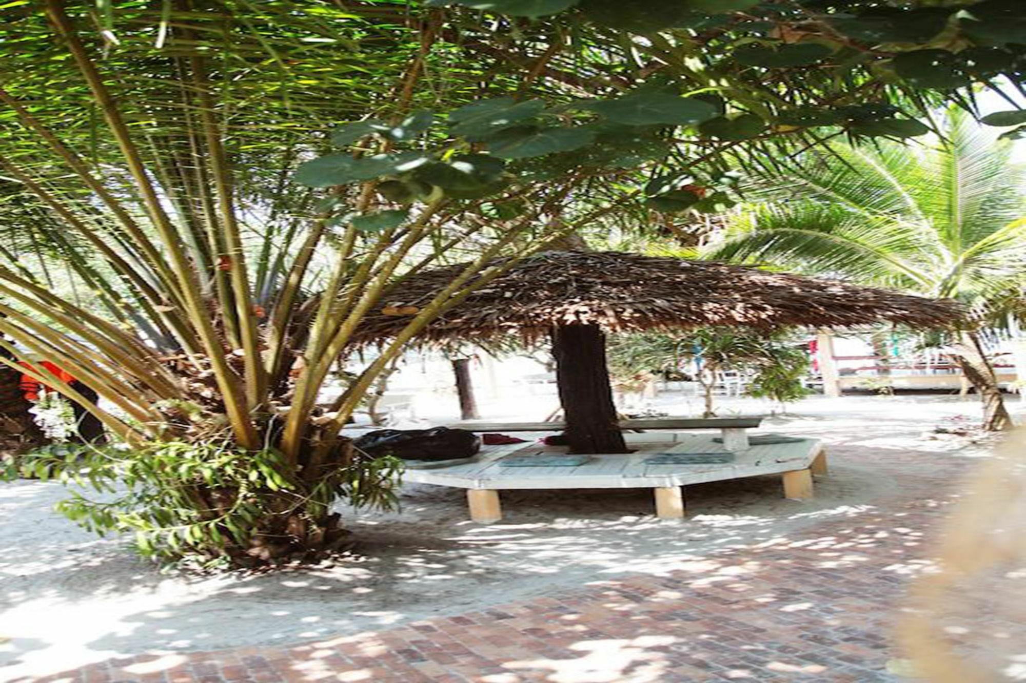 Vijit Bungalow Koh Phayam Exterior foto